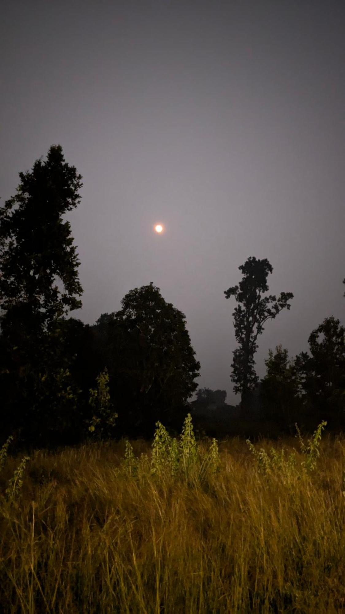 Athulyam Kanha, Kanha National Park, Mukki Gate Khāpa Zewnętrze zdjęcie